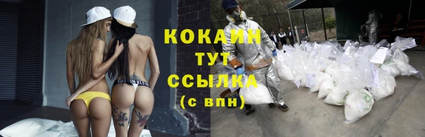 apvp Березники