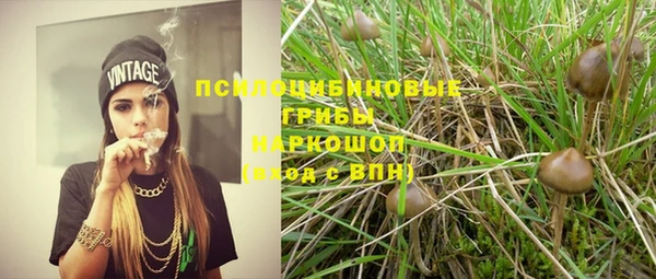 Альфа ПВП Надым