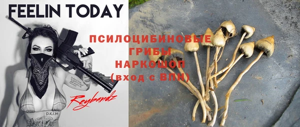 гашик Навашино