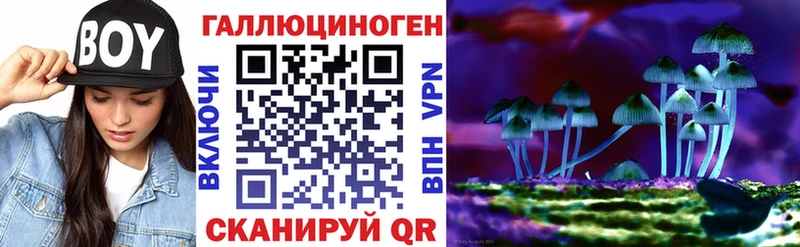 MEGA сайт  Елец  Галлюциногенные грибы мицелий 