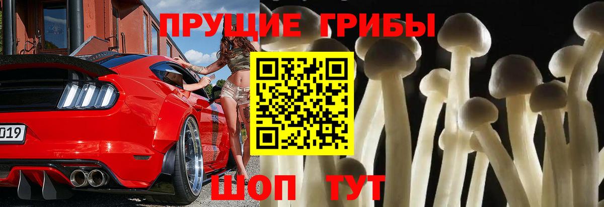 Елец  купить наркотики сайты  Вход с VPN  Галлюциногенные грибы Magic Shrooms 