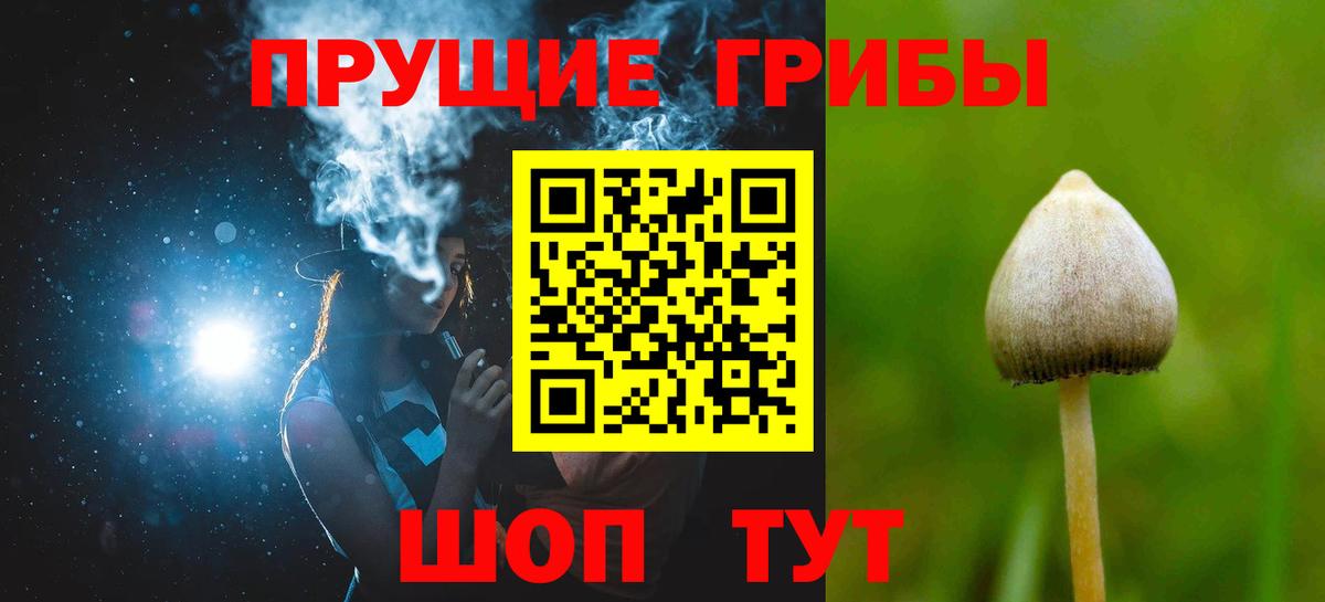 Галлюциногенные грибы прущие грибы Елец